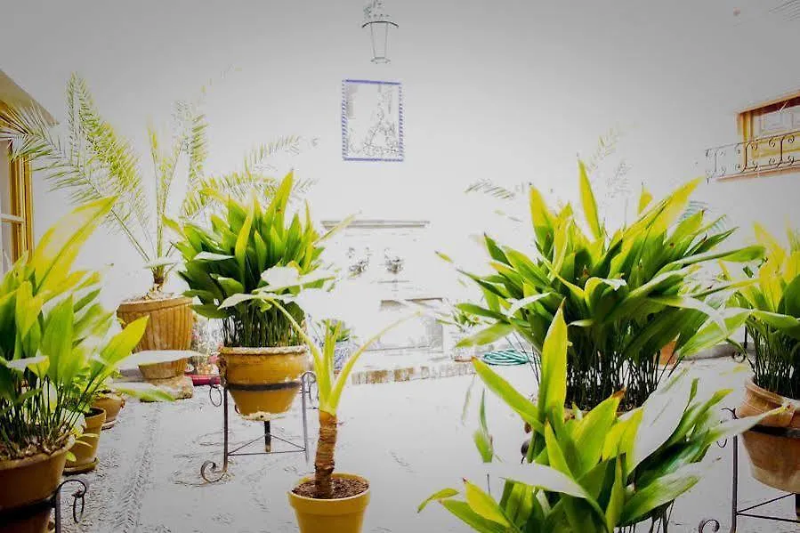 ** Hotel Hostal Jardines Granada España